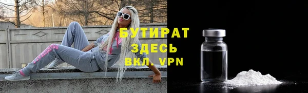 стаф Аркадак
