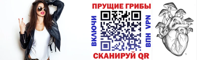 Псилоцибиновые грибы Psilocybe  как найти наркотики  Холм 